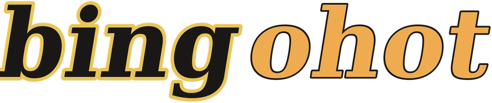 bingohot logotipo